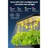Hydroponics Growing System with 12 Pods