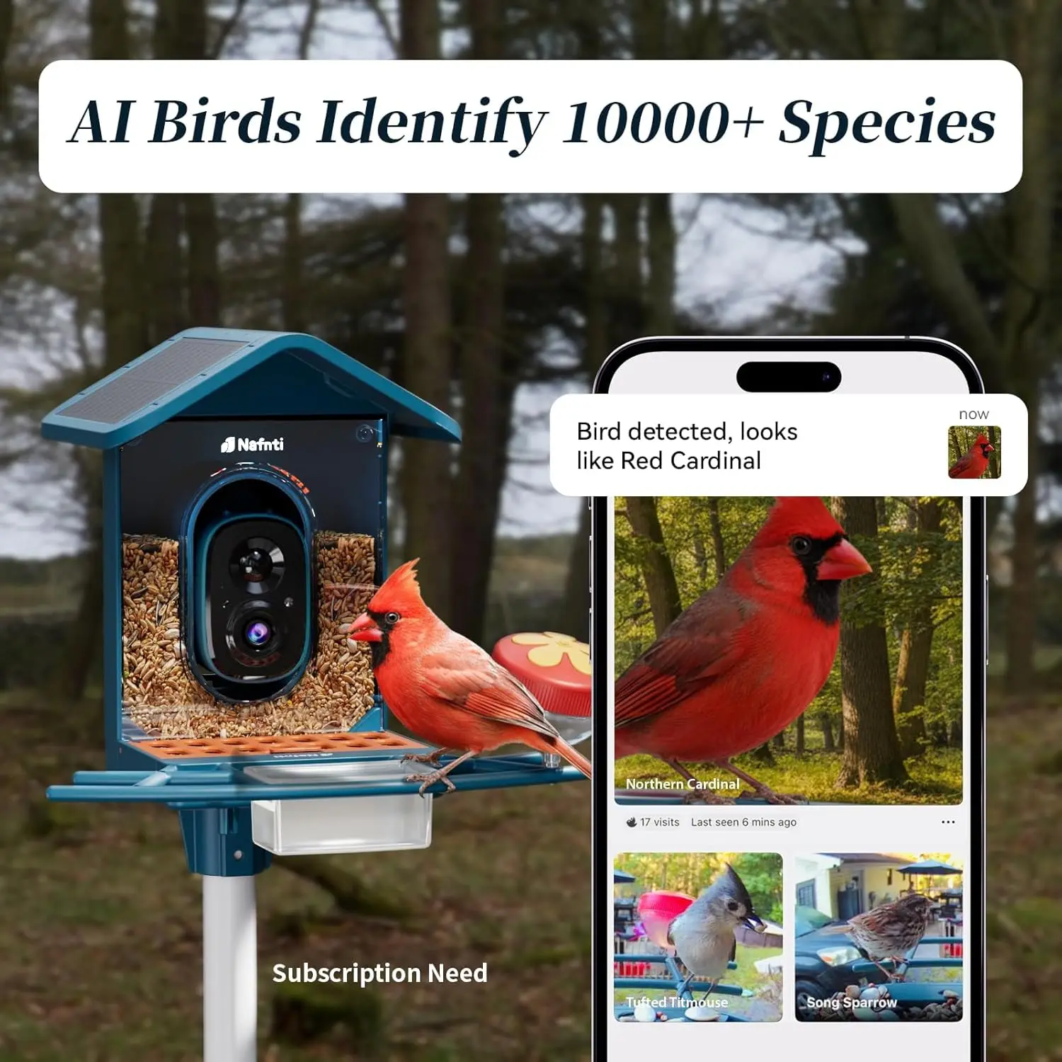 description