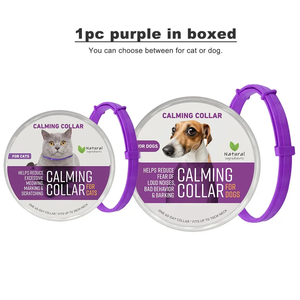 1pc Purple in boxed