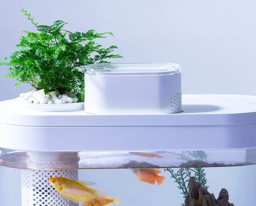 Title 9, Smart Fish Tank Amphibious Ecological Advanced ...