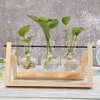 Transparent Glass Vase Wood Frame Iron Art Terrarium Bonsai Table Ornaments Flower Vase Tabletop Hydroponics Plant Flower Pot 3