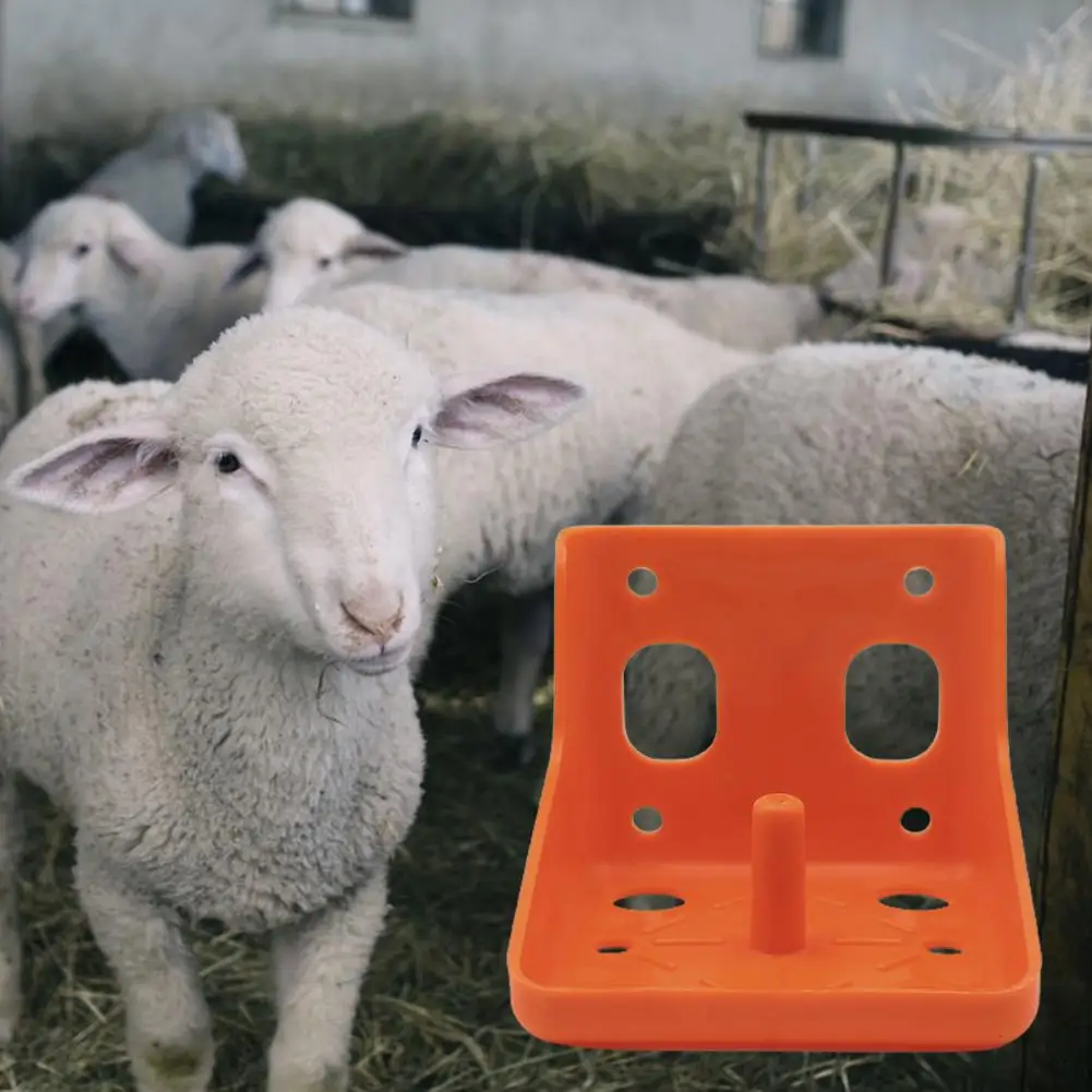 Salt Block Holder Goat Mineral Block Tray Bite Resistant Save Space Cattle Sheep Horse Lick Brick Container for Farm