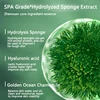 70% Pure Natural Sponge Microcrystal Freeze-Dried Powder Repair Skin Acne Clean Pores Whiten Anti-Aging Seaweed Bone Skin Care 3