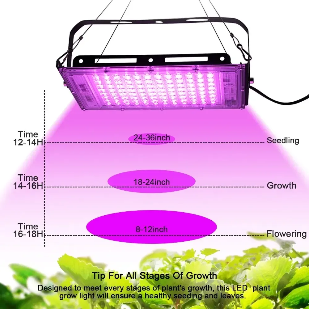 Full Spectrum LED Grow Light 50W luce solare imitata Phyto Lamp con interruttore On/Off per l'illuminazione idroponica della crescita delle piante in serra