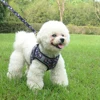 Small Dog Harness Leash Set Cute Traction Bracelet Medium Cat Collar Suit Soft Puppy Vest Harness Adjustable Pet Accessories 2