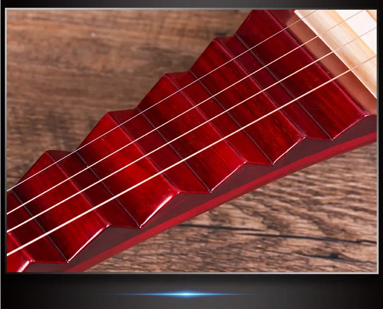 Pipa Chinese String Instruments Lute