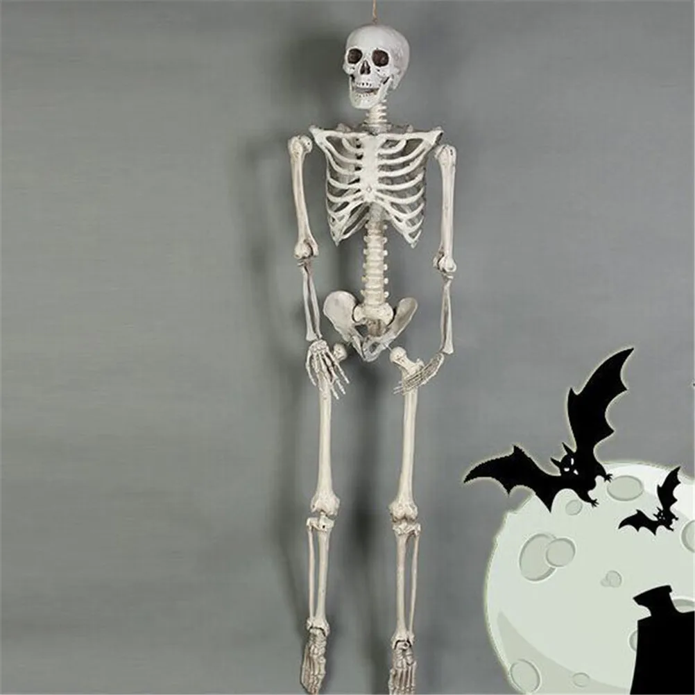 High Quality 40CM Human Anatomical Anatomy Skeleton Model Medical Learn Aid Anatomy human skeletal model Retail