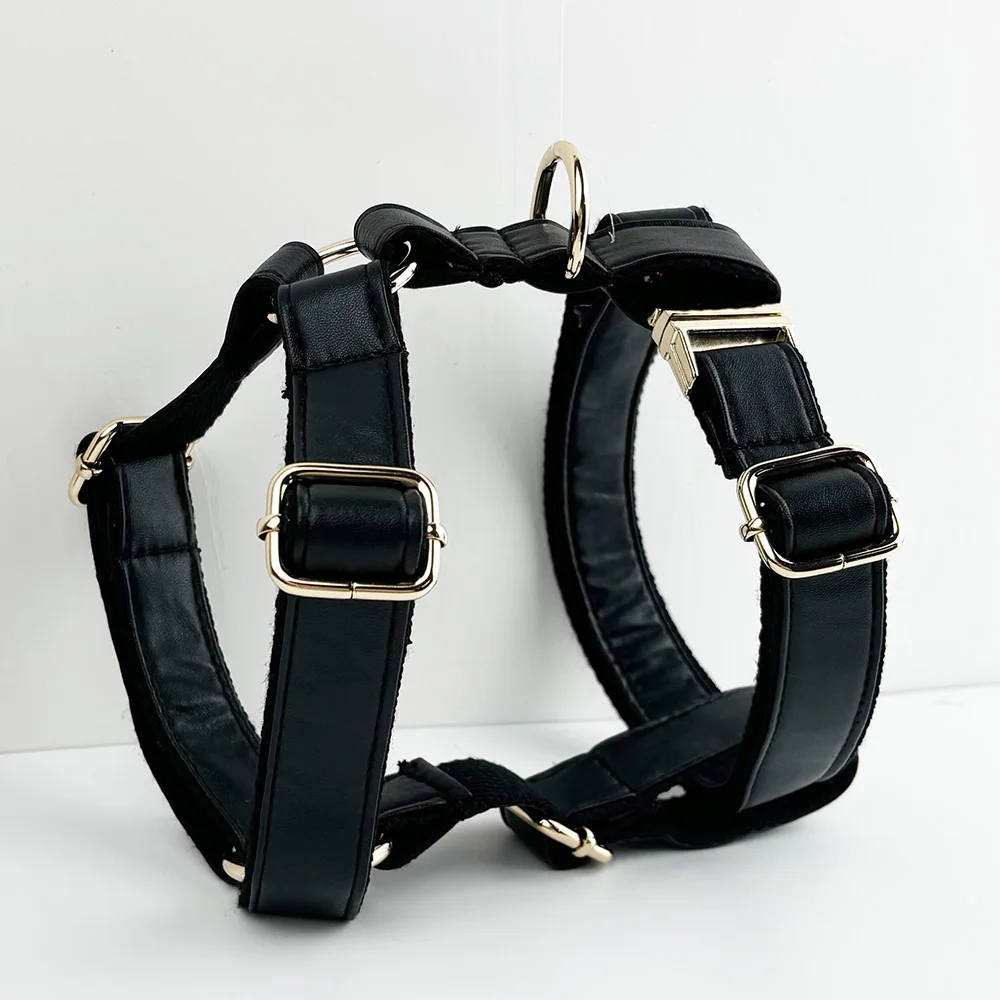 Beirui Personalisiertes Hundehalsband Aus Leder – Weich Gepolstert, Mit Namensschild & Metall-Schnalle, Verstellbar Für Alle Hundegrößen