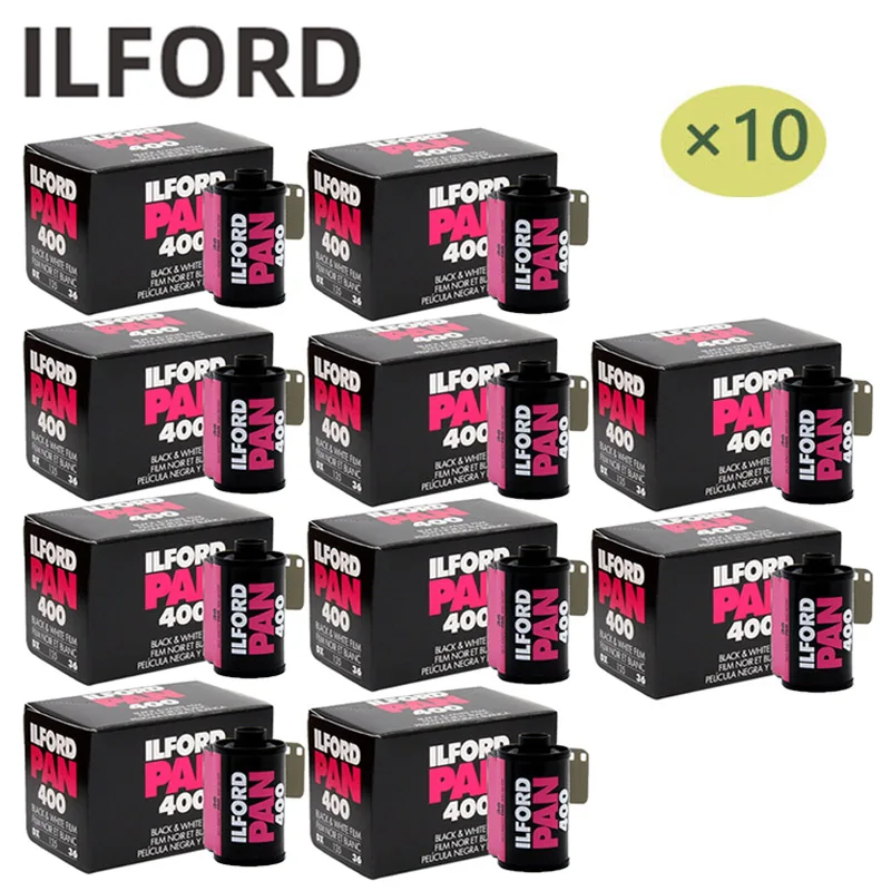 10 rotoli