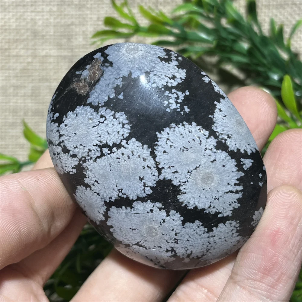 Natural Crystal Snowflake Black Obsidian Palm  Stone Crystal  Reiki High Quality Beauty Healing Quartz Minerals Home Decoration 6