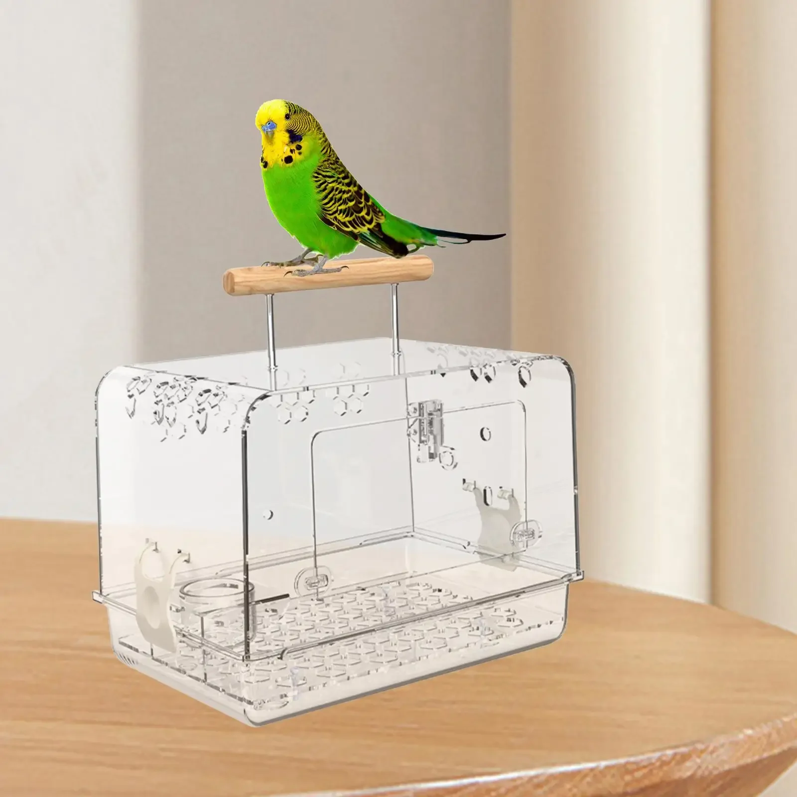 Bird Cage