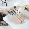 SeamiArt 5Pcs Bristle Paint Brushes Round Head Gouache Watercolor Oil Acrylic Painting Tools Brush Tip Pen for Art Supplies 2