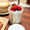 Fruit Storage Box With Drainage, Lid And Fork, Sealed, Leak Proof And Fresh-keeping, Student Portable Breakfast Cup Picnic Box 4