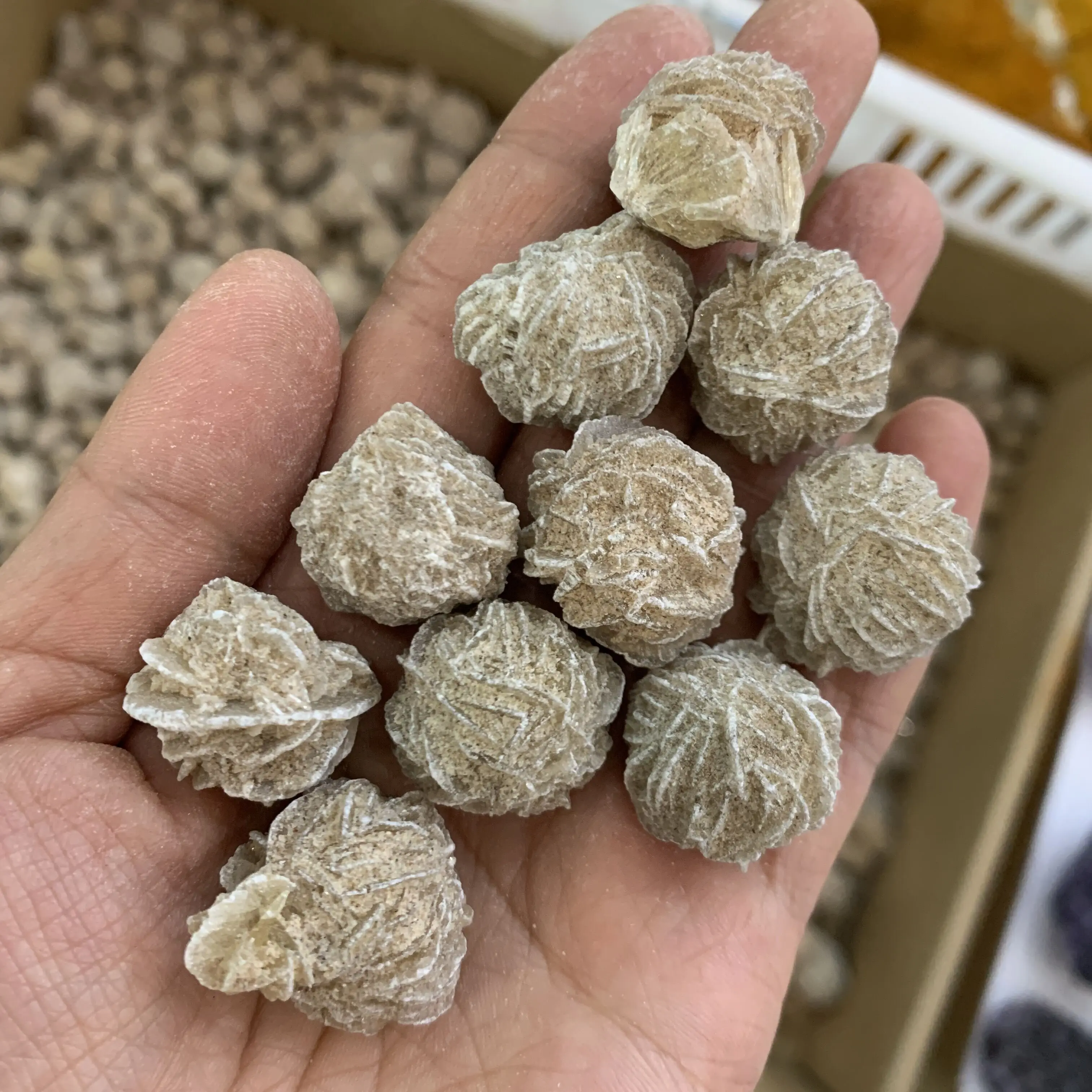 Natural Desert Rose Selenite Crystal Stone Crystal Healing Stones Gesso Love Stone Campione Minerale