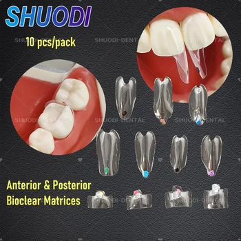 10 pcs/pack Dental Restoration Black Triangle Matrix Teeth Molar Bow Anterior Posterior Fit Bioclear BT Clear Matrices 1