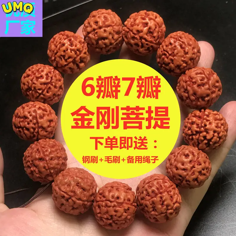 Indonesiano Vajra Bodhi Rudraksha Beadshand String 5678 Petalo Grande Macchina Semilavorata Da Uomo Pennello Beadsbuddha Perline Braccialetto