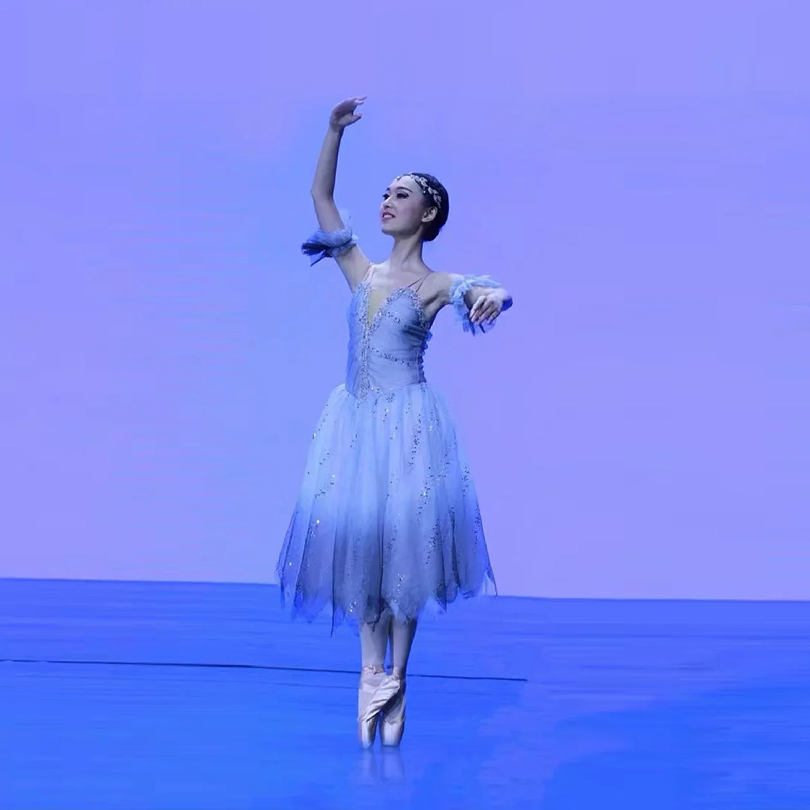 

Ballet costume adult competition professional performance dress grey fluffy skirt children's ballet dress