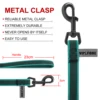 1.5M 2M 3M 15M Medium small Long Dog Leash 10M Latex Silk Easy and Convenient Light Training Big Dog Leashes 5 meter 2