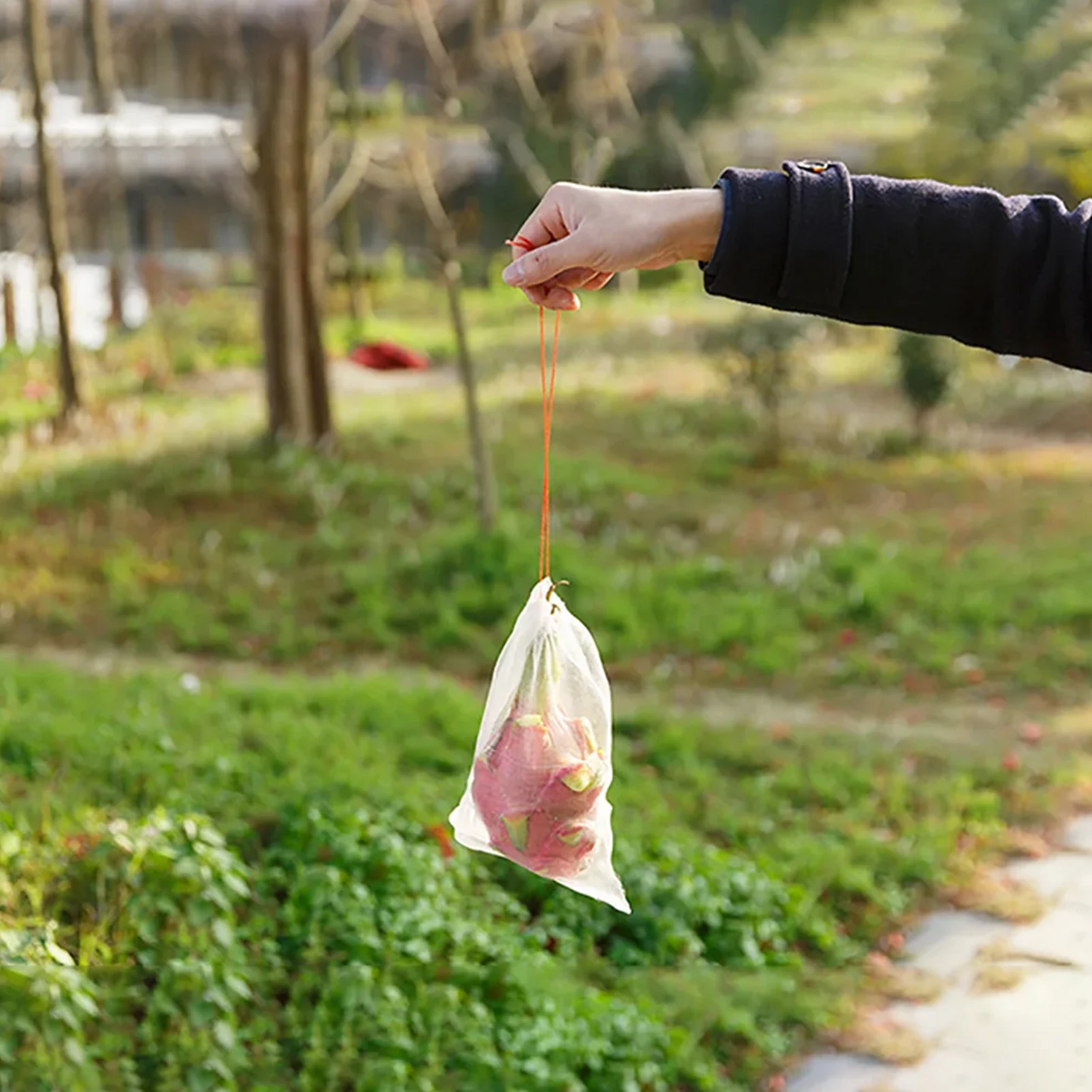 Jardinière,Sacs de Protection de raisin,filet Anti-oiseau,sacs de ...