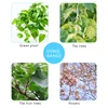 Plant Bending Agent Suitable For Low Pressure Training No Pile-Like Flower Stand And Plant Training Control Plant Growth 5