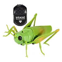 RC Grasshopper Supplies Remote Control Animal Toy for Children 2