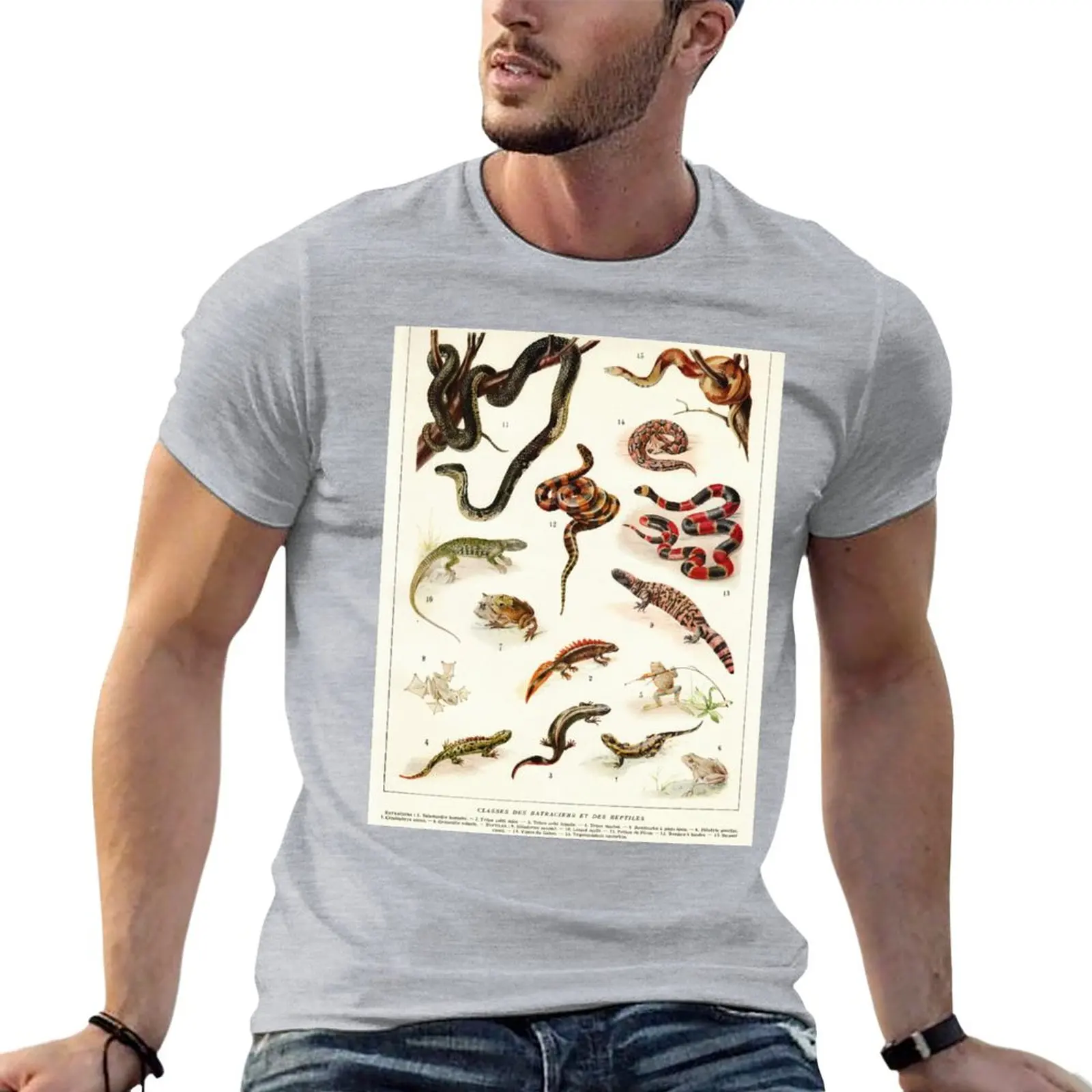 

Adolphe Millot - Batraciens et reptiles - French vintage zoology poster T-Shirt t-shirts man man clothes Men's cotton t-shirt