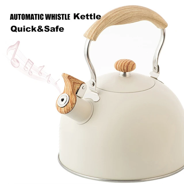 GWPSHENG Whistling Stainless Steel Tea Kettle Chaleira Tea Pot