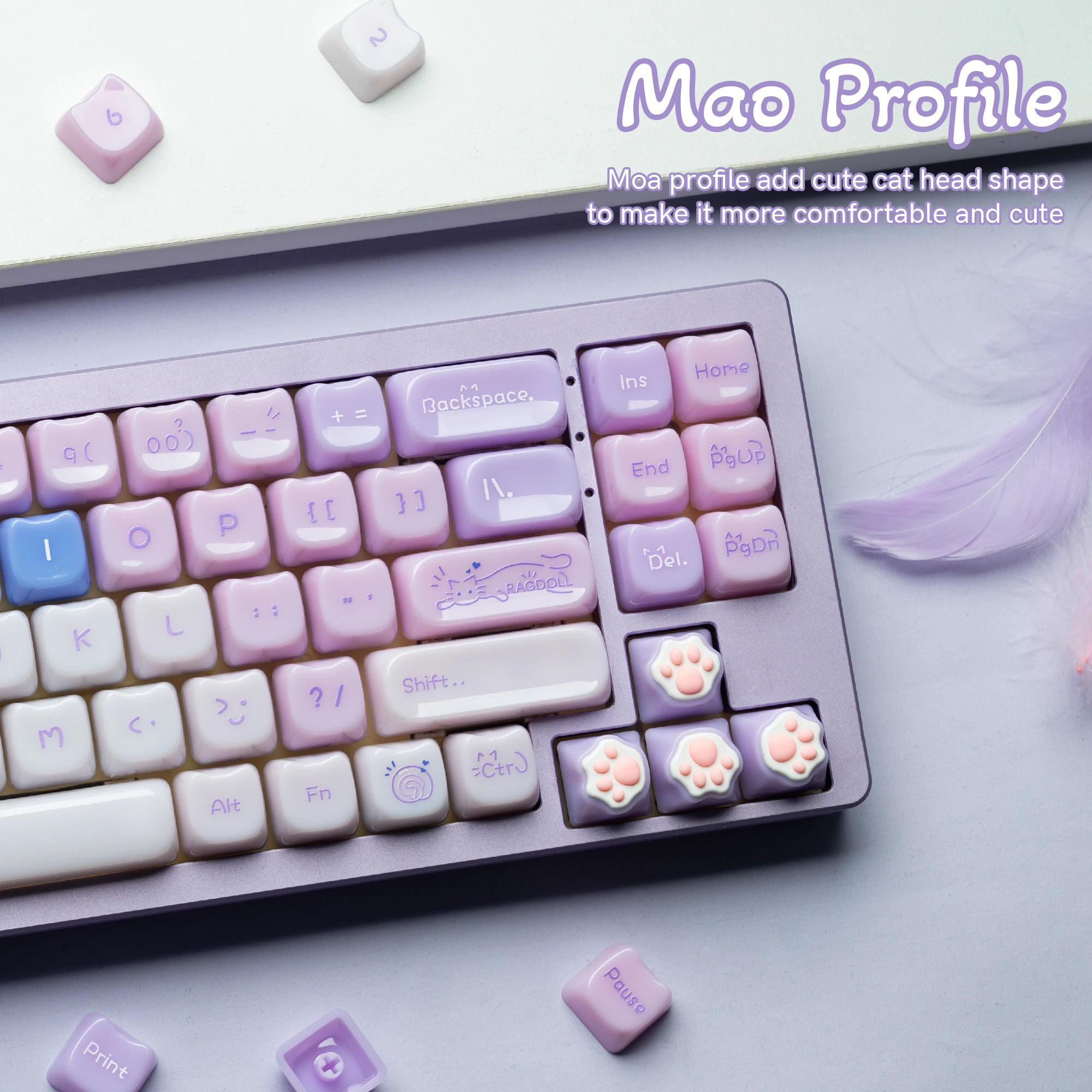 S7eebb7de858548929c15017e95506