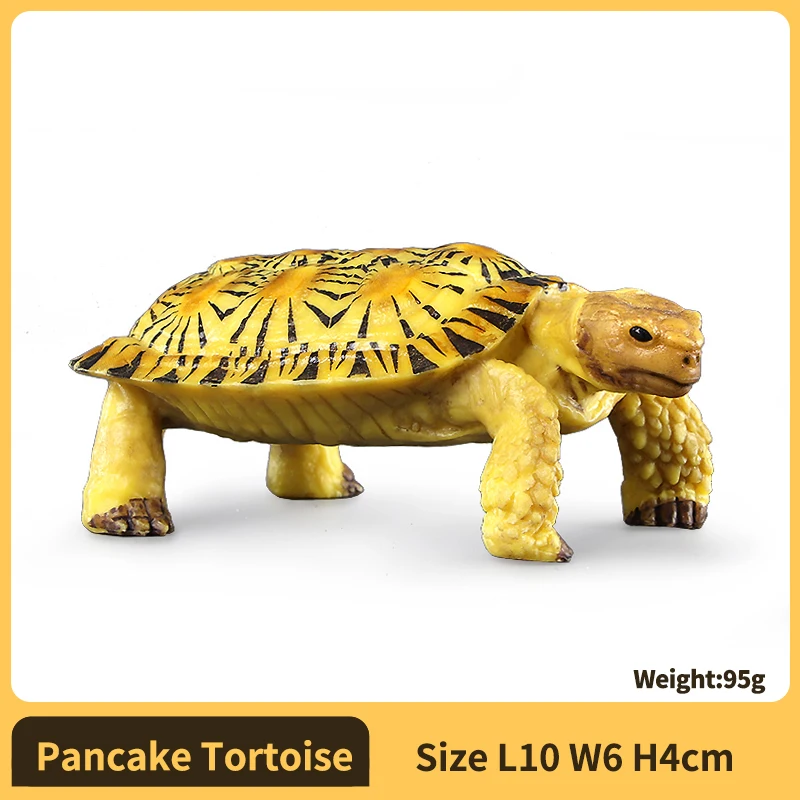 Realistic Tortoise Figurine - Wild Animal Toy for Fish Tank Decoration and Collectible Display