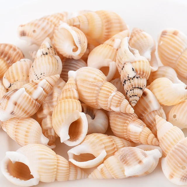 20g B