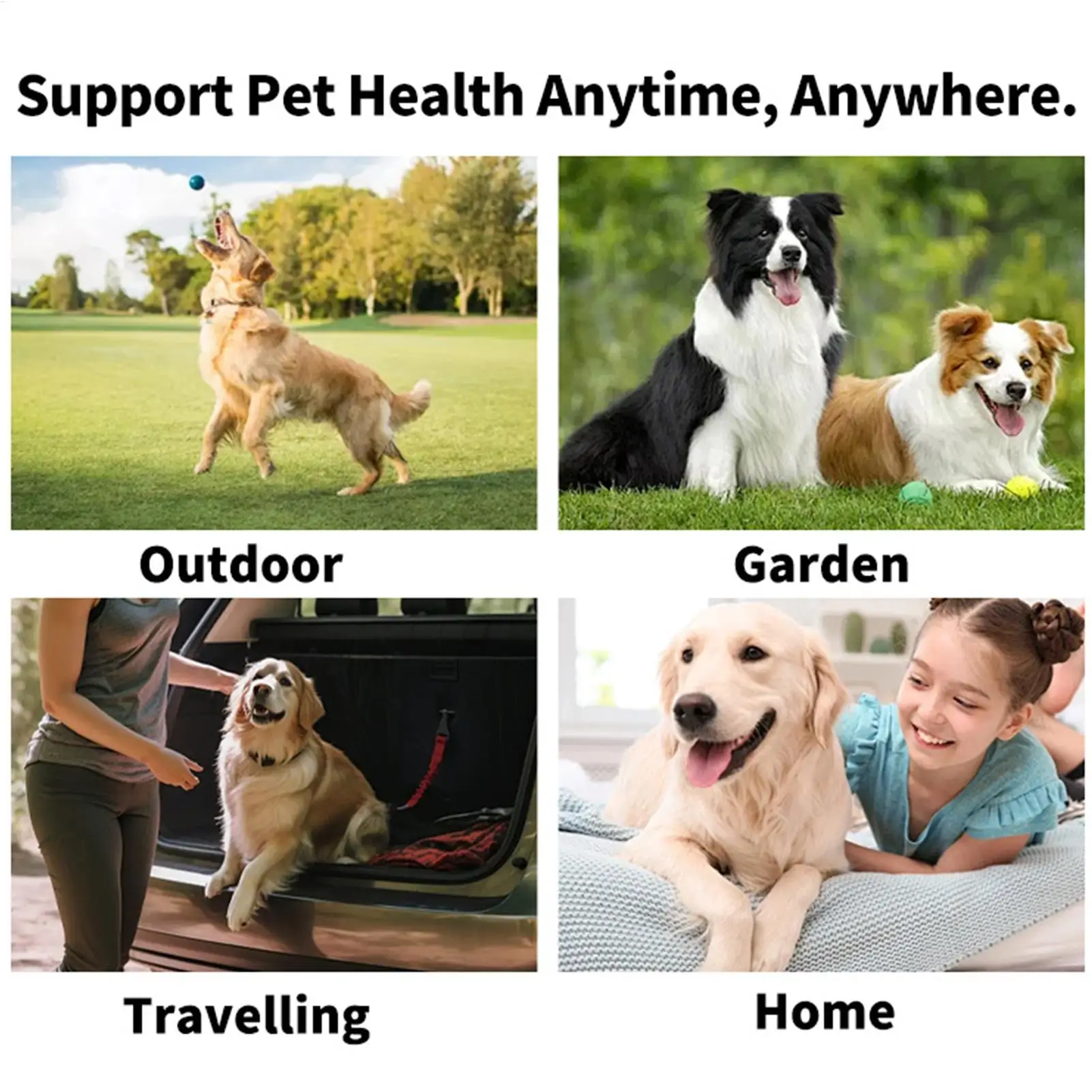 Pet Dental Finger Cleaning Wipes 4