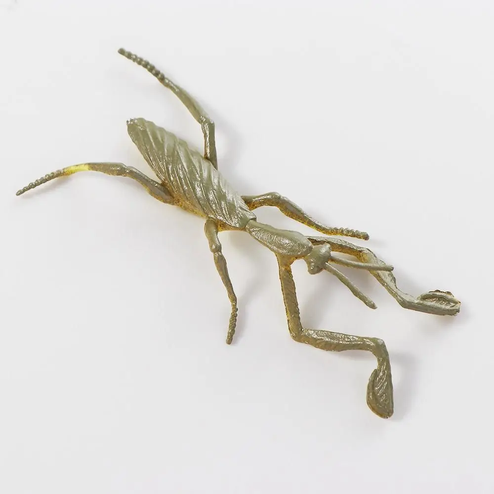 Model Toys Beetle PVC Fake Insect Spider Figures Simulation Insect Model Animal Toys Realistic Figurine