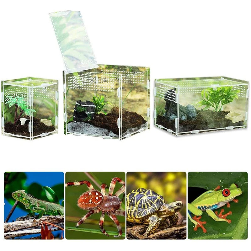 Caja de cría de reptiles acrílica, terrario transparente, hábitat, insectos, arañas, lagartos, escorpión, jaula de alimentación, caja arboreal 2