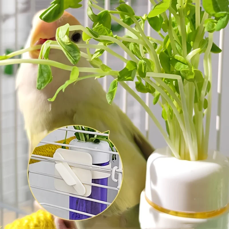 Cestino porta verdure per gabbia di pappagalli, contenitore per la conservazione, accessori per gabbie, cesto sospeso, giocattoli, forniture per gabbie di parrocchetti - immagine 5