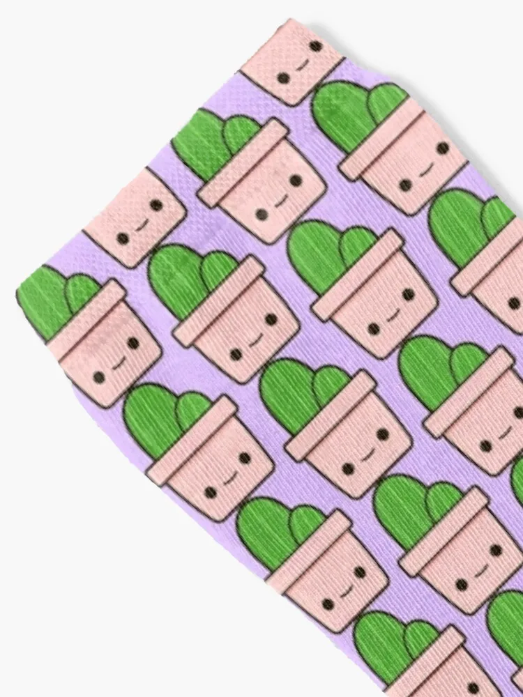 Cactus in cute pot Socks Sport Man Sock