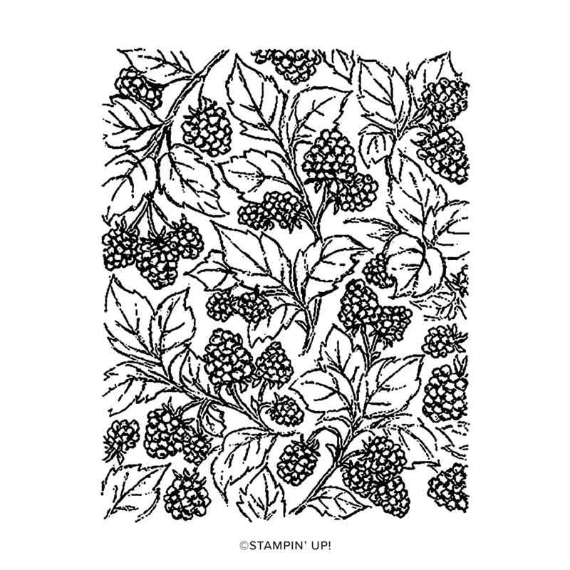 

Grape Background 2023-2024 Annual Catalog Clear Stamp Scrapbooking Frame Card Craft no Cutting Dies