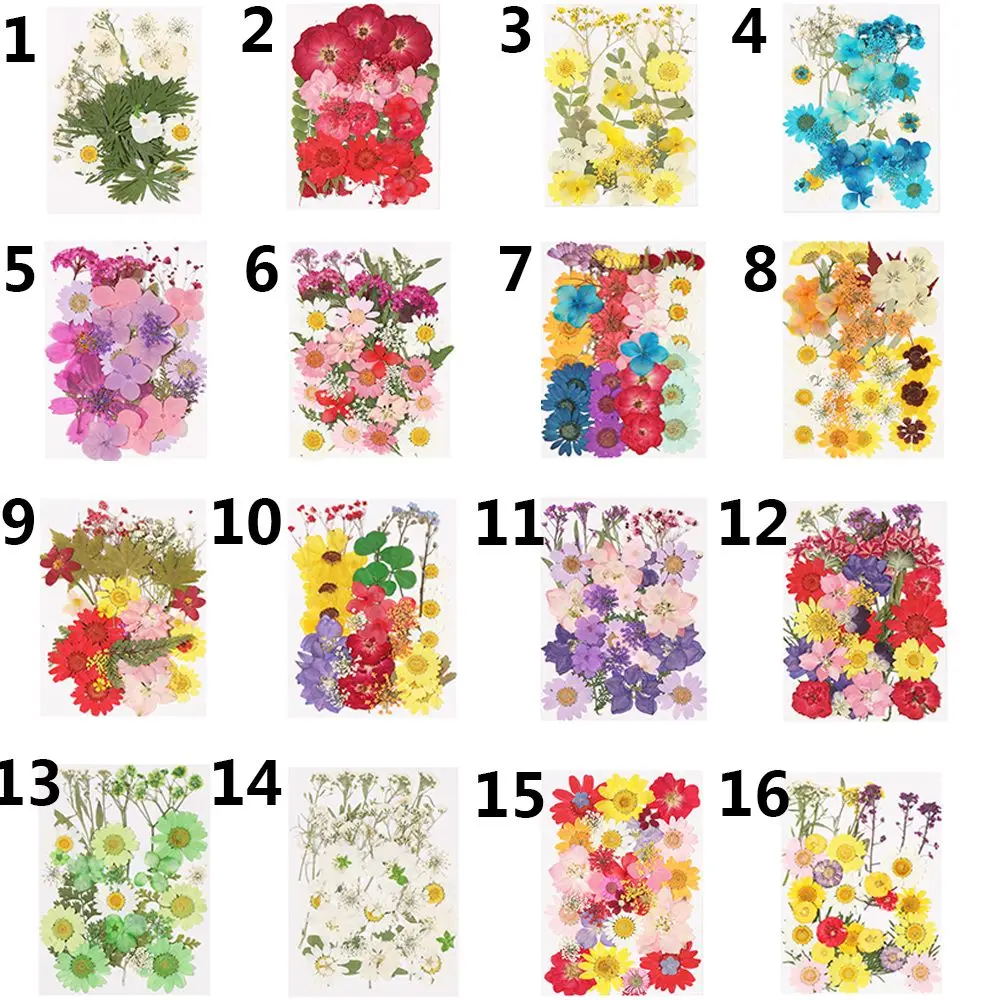 Dried Flowers Resin Mold Fillings Expoxy Flower for Nail Art