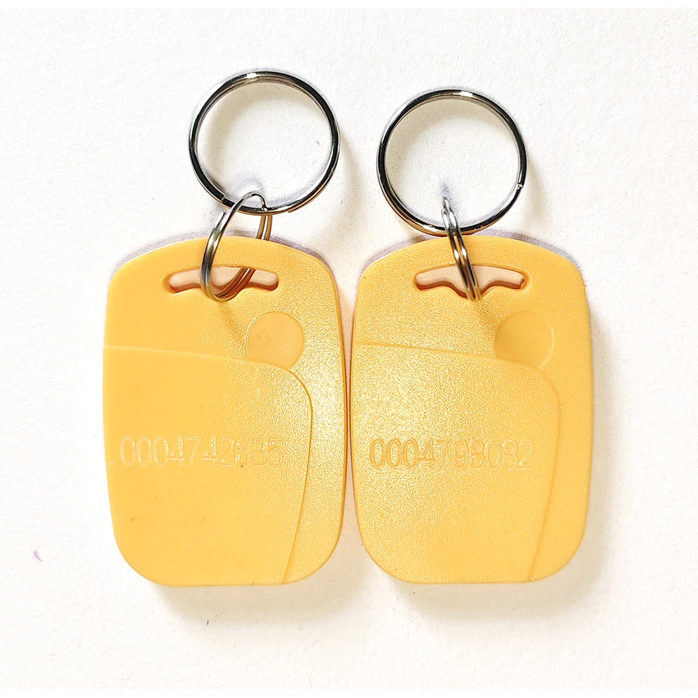 Pack of 100 RFID Key Fob Keychain Tags