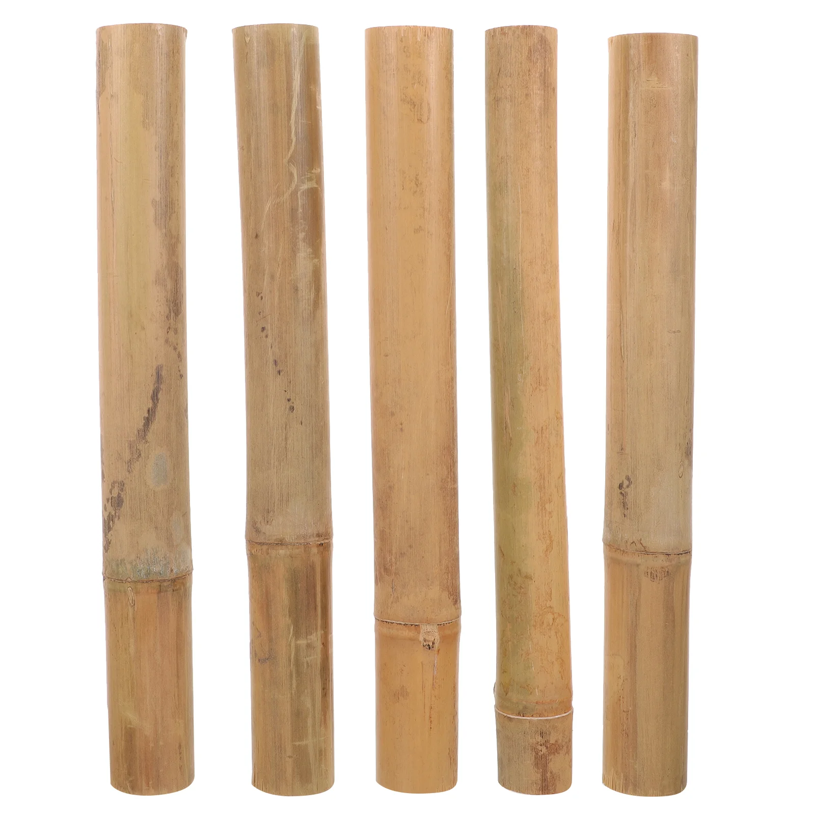 

5 Pcs Brackets Plant Support Bamboo Stakes Pole Fence Sticks for Plants Gardening