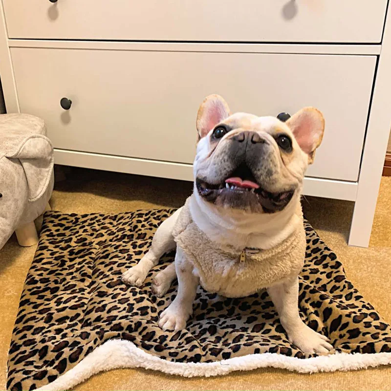 Christmas Dog Pad Thick Flannel Warm Blanket Leopard Print Blanket Dog Pad Camel Foot Thick Cage Pet Beds
