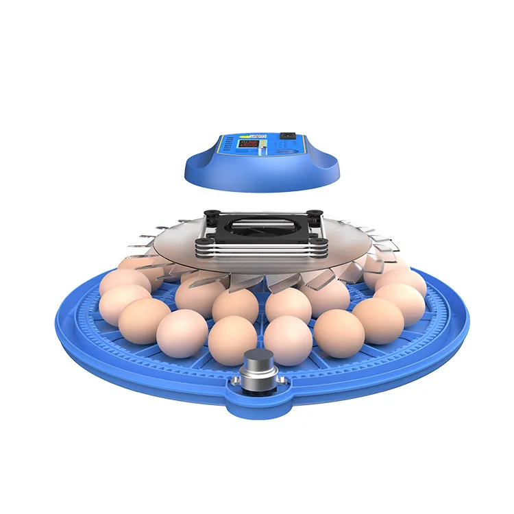 

Hot sale 64/248 rutin Egg Capacity Automatic Water Supply Chicken Egg Hatching Egg Incubator