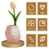 3Pcs Wall Shelves Set Oak Wood Round Floating Shelf Wall Mounted Plant Shelf Home Decoration Mini Rustic Wall Storage Racks 4