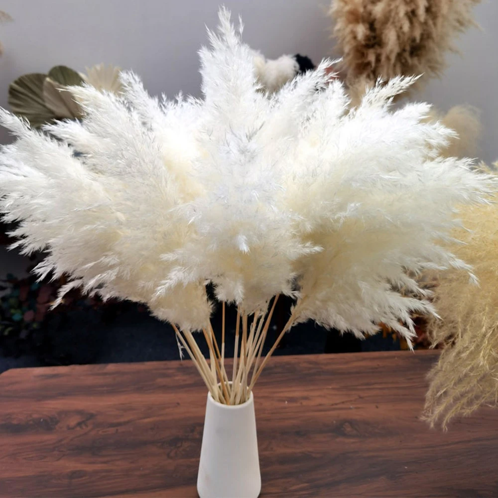 

Cream Pampas Grass Decor Fluffy Dried Pampas Wedding Flower Bunch Natural Plants for Home Valentines Day Gift