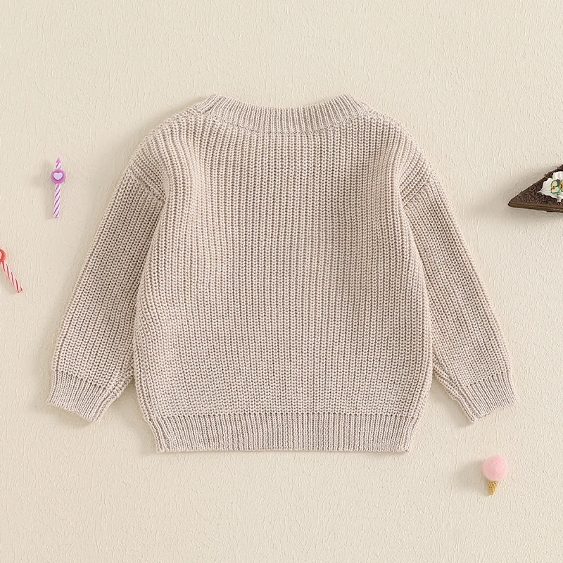 FOCUSNORM 5 Farben Herbst Winter Baby Jungen Mädchen Geburtstag Pullover Brief Stickerei Warme Gestrickte Langarm Pullover Strickwaren – Detail 1