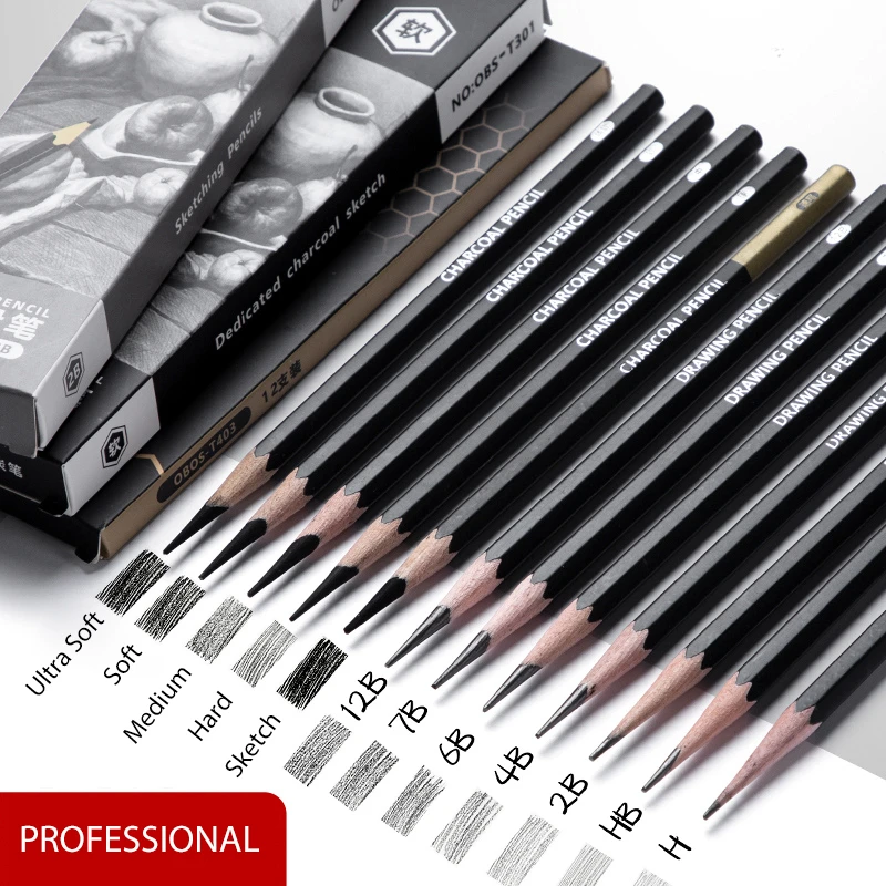 

Professional Sketch Drawing Graphite Charcoal Pencils Set 2H HB B 2B 3B 4B 6B 8B 10B 12B Drawing Sketching for Artists Beginners