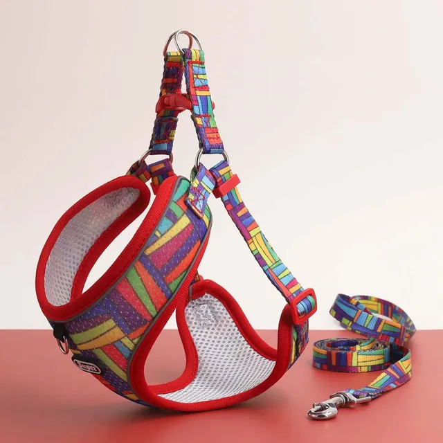 One Dog Harness and Leash Set - Comfort Adjustable - Escape Prevention Pet Leash Vest - For Small to Medium Dogs 3