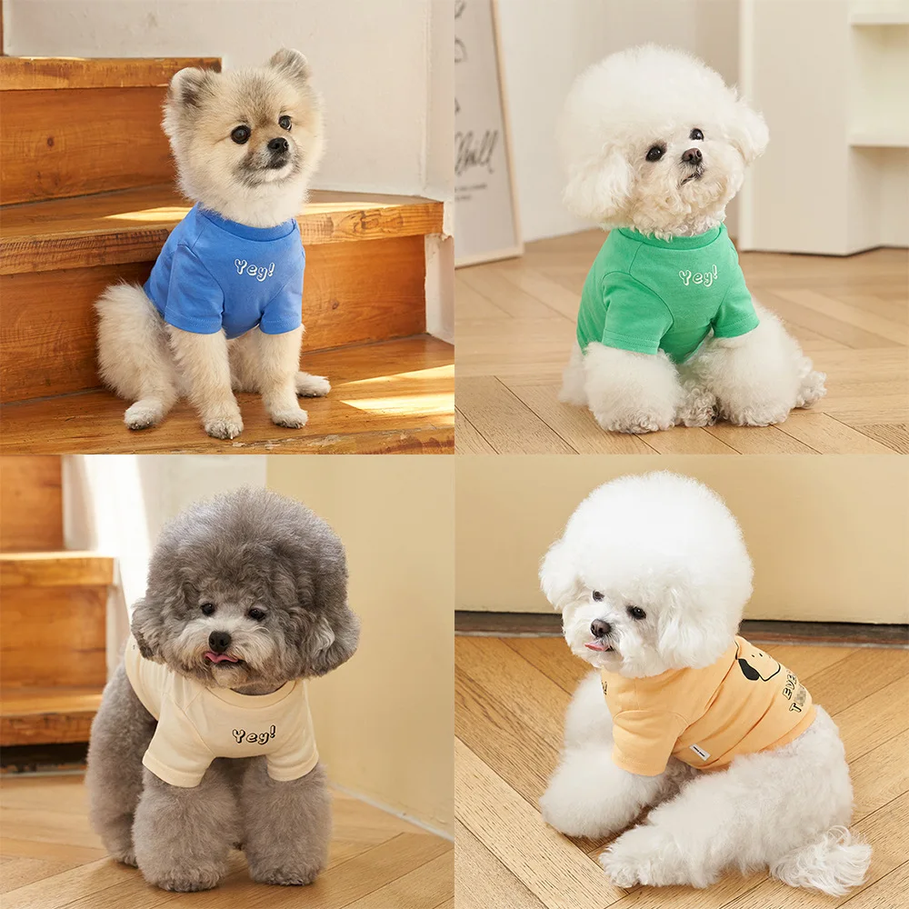 

Dog Clothes Ins New Spring and Summer Korean Pet Clothes T-Shirt Refreshing Printed Cotton Bottoming Short-Sleeved T