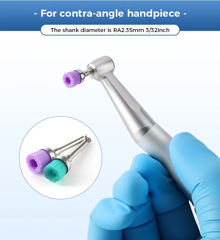 10 Teile/paket Dental Bunte Nylon/Borsten Prophy Polieren Pinsel Zahnarzt Werkzeuge RA2,35mm 3/32 zoll Zahnarzt Werkzeuge – Detail 3