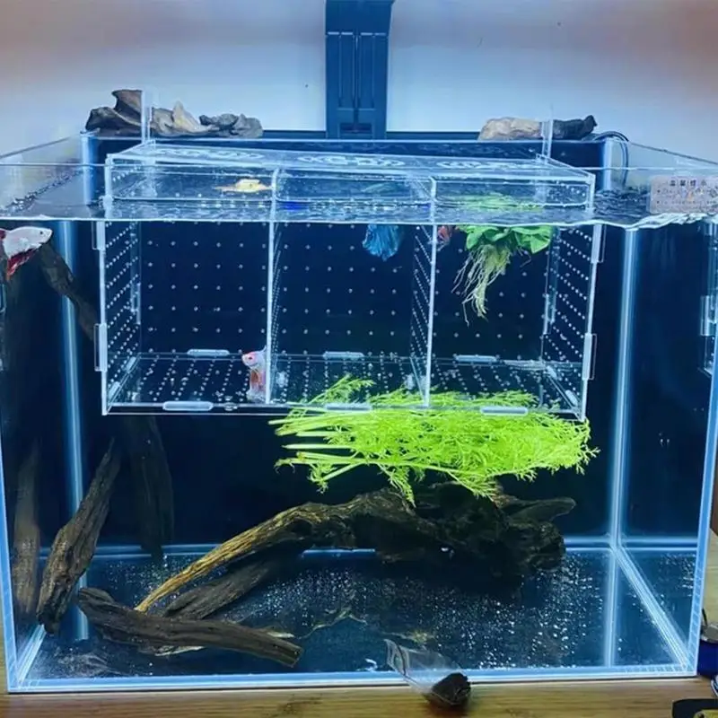 Fish Breeding Box Aquarium Fish breeding Box Durable Fish tank guppy breeding isolation box Clear Hatching Incubator For Baby Shrimp