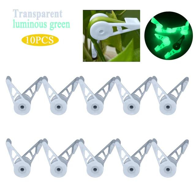10pcs transparent